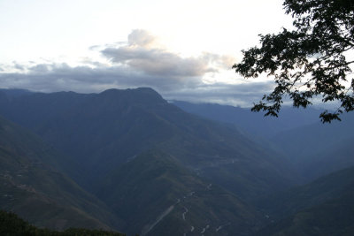 Yungas