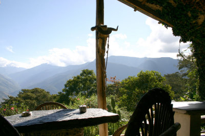 Yungas