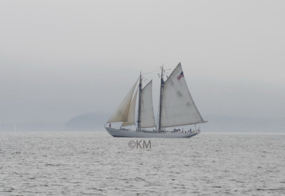 g1/53/578453/3/146085389.YdzaMtsp.jpg