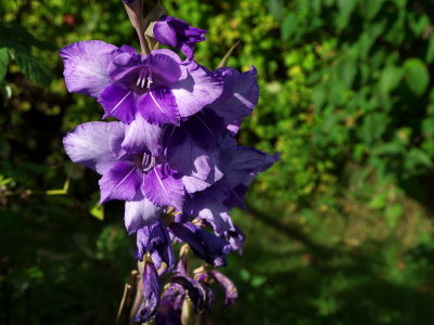 P1000130.jpg