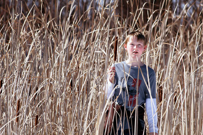 Maple Syrup Season 2009