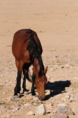 Africa_2009_0276.jpg