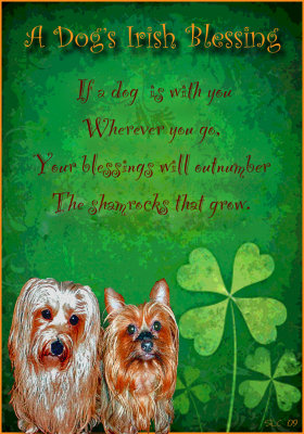 Dog's Irish Blessing.jpg