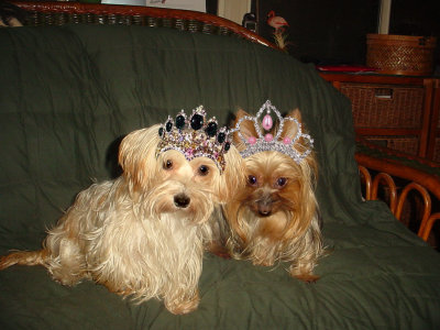Daisy and Lizzie Wearing Tiaras
