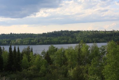 Patio View