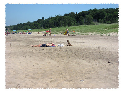 g1/53/625353/3/115406543.L2A7vr4d.jpg