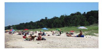 Families enjoying the beach