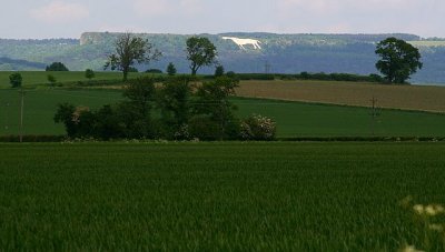 Kilburn White Horse