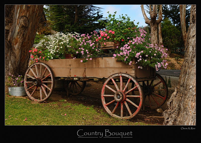 Country Bouquet.jpg