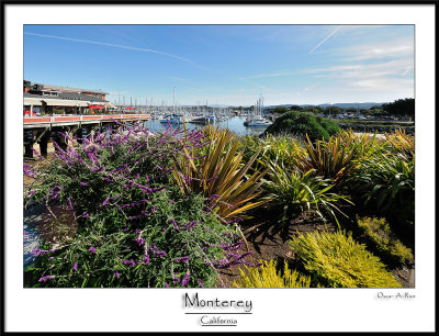 Monterey_Ca.jpg