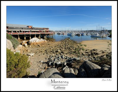 Monterey .jpg