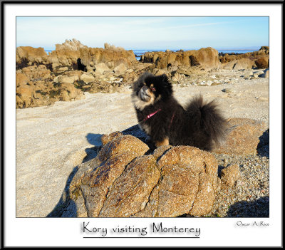 Kory Visiting Monterey.jpg