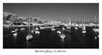 Monterey Bay.jpg
