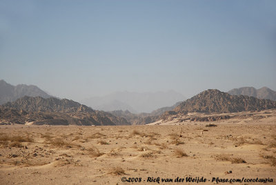 Sandy desert of Nabq