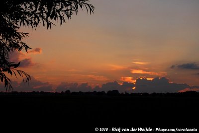 Sunset at Hoenkoop