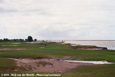 Grassy plains near the river mouth