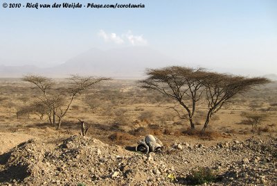 Dry countryland between Arusha and the borderpost