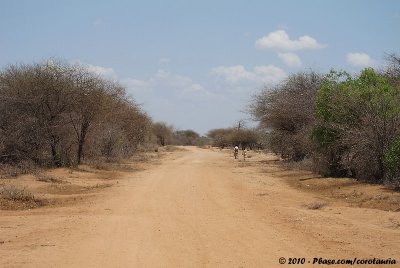 Dry scrub between the mainroad and the reservoir