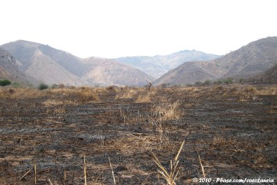 Burned grasslands