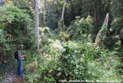 José birding the rain forest