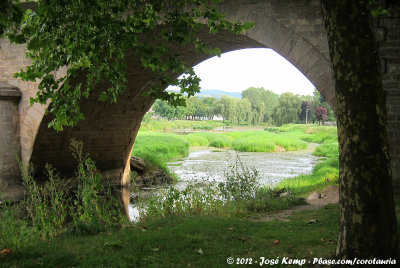 The bridge over the Arroux