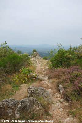 Rocks and heath at the viewpoint