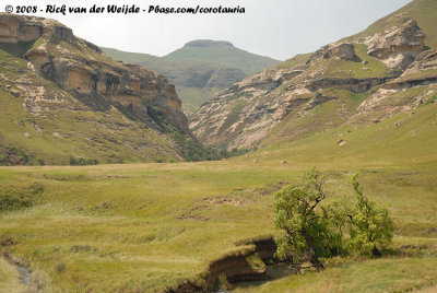 Drakensberg Range