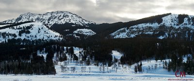 Lamar Valley - Even Bigger