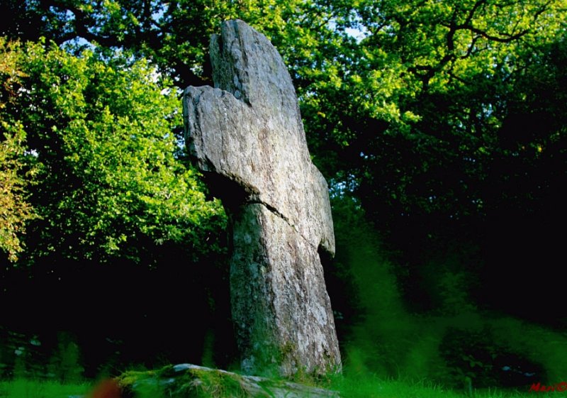 

 Glendalough