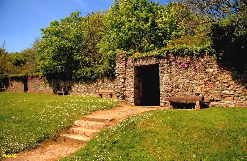  County Kilkenny

 (entrance to the bluebell woods)