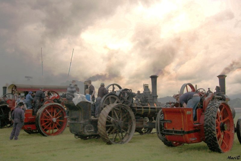 Stradbally, County Laois
 Steam Engine Rally
