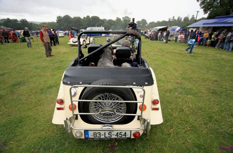    classic  and other cars included at the steam engine rally
Stradbally, County Laois