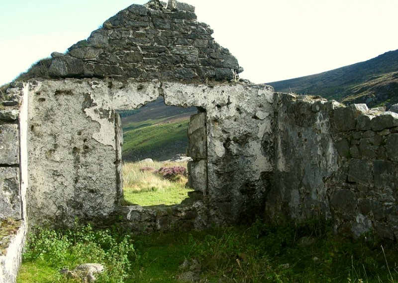 ruins

 on the Wicklow Mountains