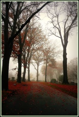 misty morning graves