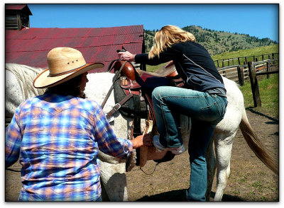 mounting the stallion