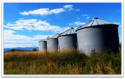 4 silos near sypes canyon road