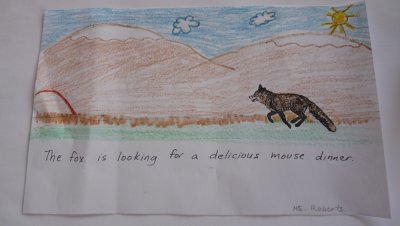 animals and their environments and diets rubber stamp and crayons