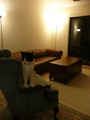 living room and jasmine 1