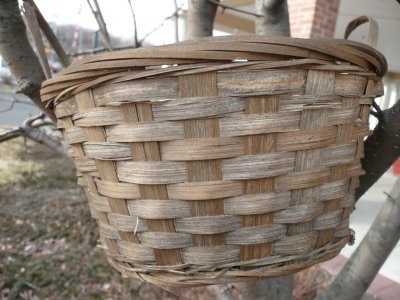 basket in a tree