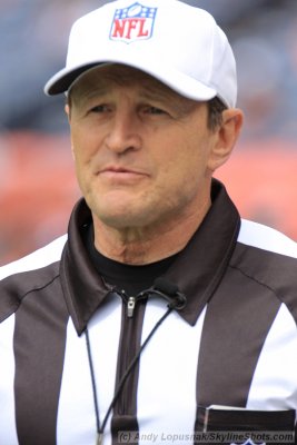Head referee Ed Hochuli