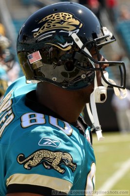 Jacksonville Jaguars WR Jerry Porter