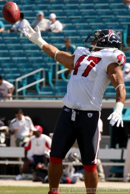 Houston Texans DB Will Demps