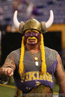 Minnesota Vikings fan