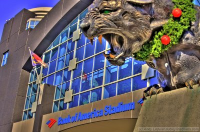 Bank of America Stadium - Charlotte, NC