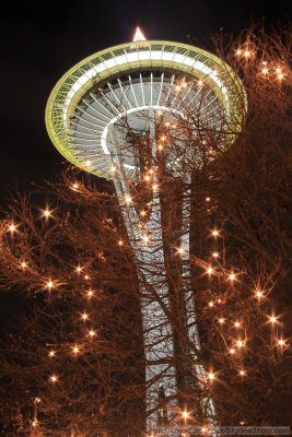 Seattle Space Needle at Night