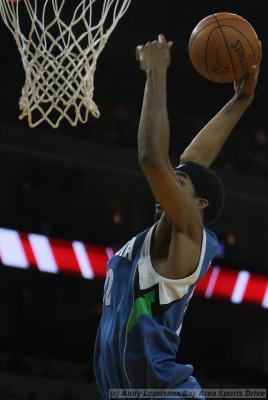 Minnesota Timberwolves forward Corey Brewer