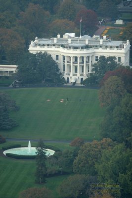 The White House