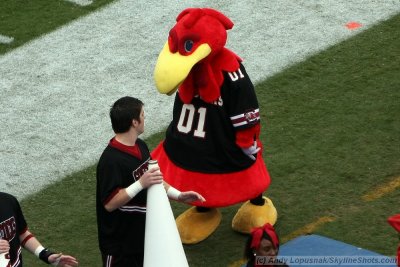 University of South Carolina mascot