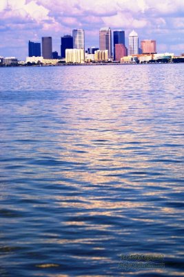 Downtown Tampa from Ballast Point Pier