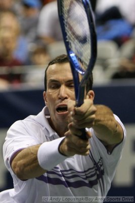 Radek Stepanek